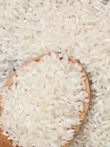 Gao Binh Duong 3 Gao Binh Duong 3