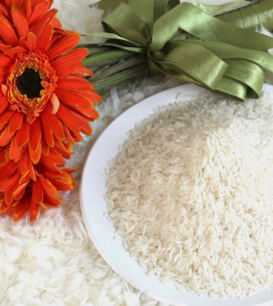 Gao Binh Duong 31 Gao Binh Duong 31