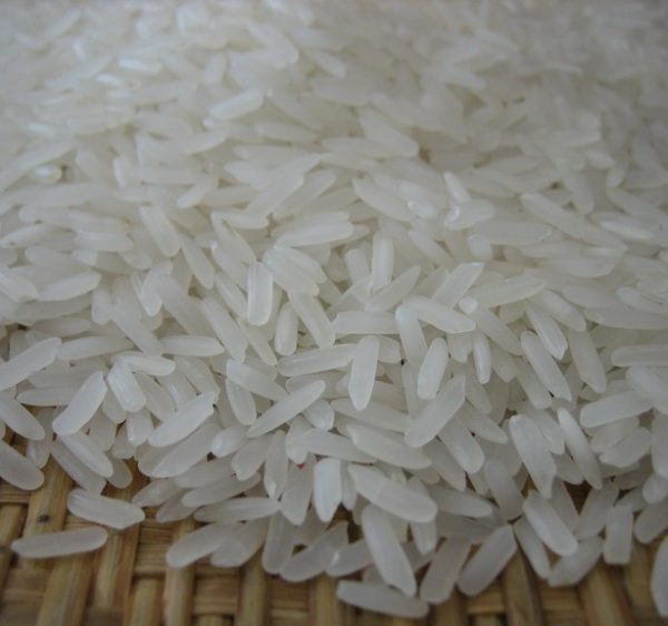 Gao Binh Duong 5 Gao Binh Duong 5