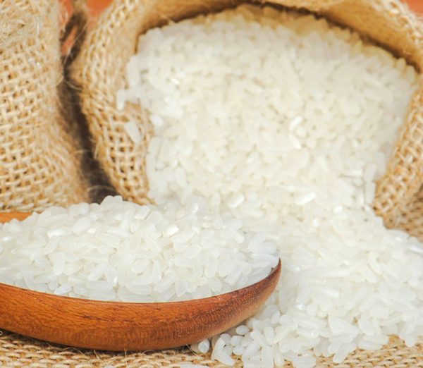 Gao Binh Duong 9 Gao Binh Duong 9