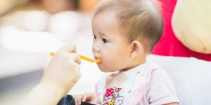 Gao Huyet Rong La Gi Gia Tri Dinh Duong Cua Gao Huyet Rong2 800x400