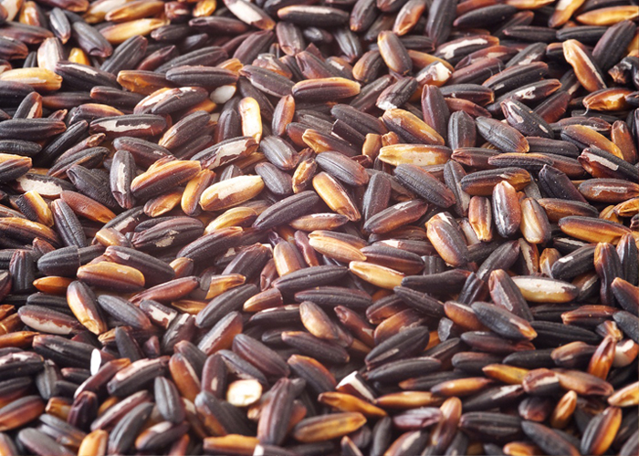 Gạo Nếp Cẩm Gạo Nếp Cẩm